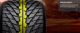 Nitto NT450 All-Season Ultra High Performance Tire